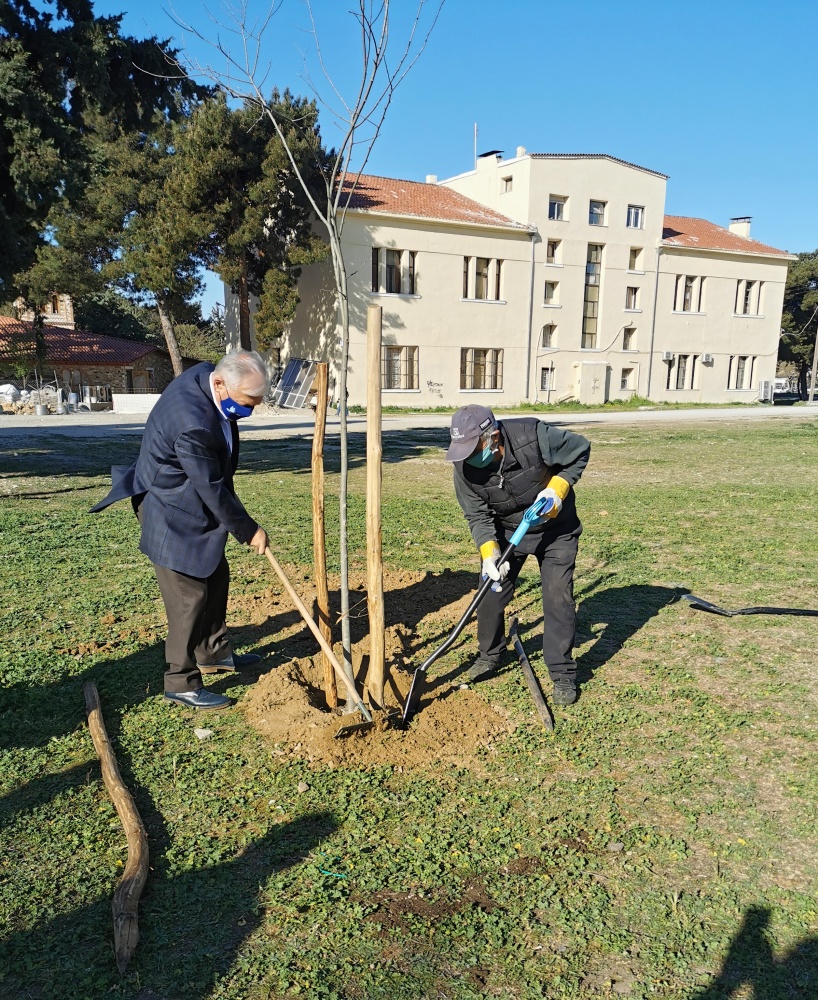 ΔΕΝΔΡΟΦΥΤΕΥΣΕΙΣ ΣΤΟ ΔΗΜΟ ΜΑΣ